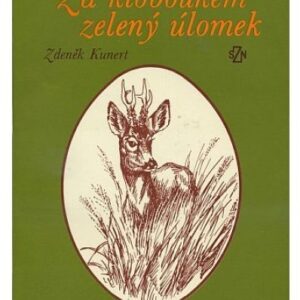 Za kloboukem zelený úlomek