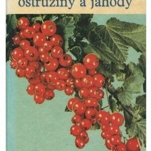 Rybíz, angrešt, maliny, ostružiny a jahody