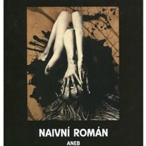 Naivní román