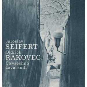 Co všechno zavál sníh