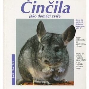 Činčila jako domácí zvíře