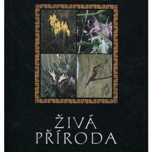 Živá příroda