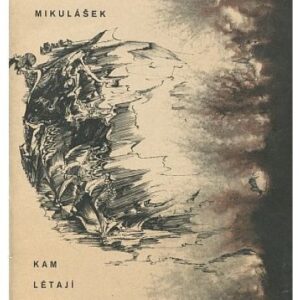 Kam létají labutě