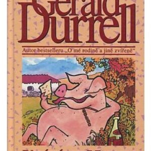 Vdáváme matku a jiné povídky