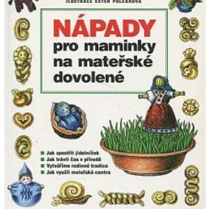 Nápady pro maminky na mateřské dovolené