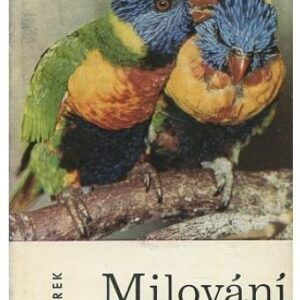 Milování v přírodě