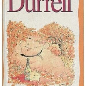 Vdáváme matku a jiné povídky