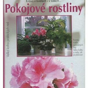 Pokojové rostliny