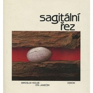 Sagitální řez