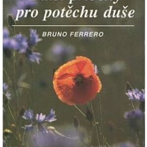 Další příběhy pro potěchu duše