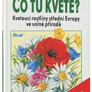Co tu kvete? průvodce přírodou