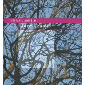 Vířící bludiště