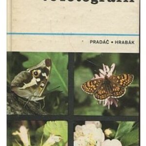 Brouci a motýli ve fotografii