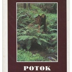 Potok / vesnický život několika let