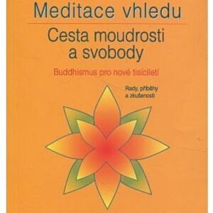 Meditace vhledu