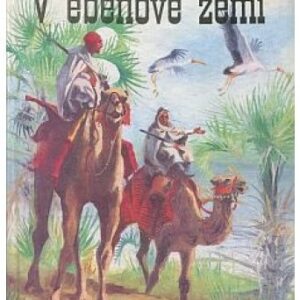 V ebenové zemi