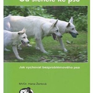 Od štěněte ke psu