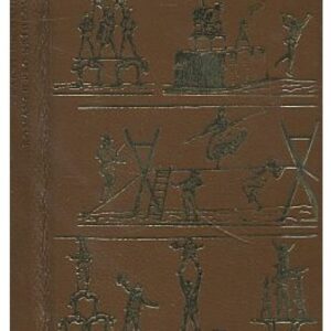 Romance pro křídlovku