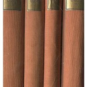 Okouzlená duše I-IV.