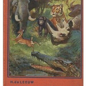 Ostrov radostného mládí