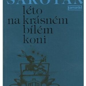 Léto na krásném bílém koni