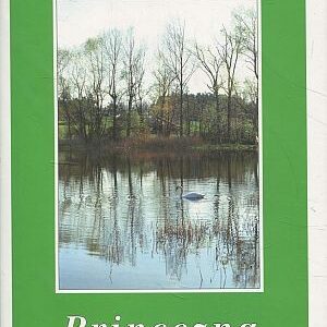 Princezna - román dívky dvacátého století