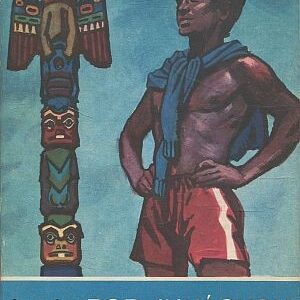 Pod junáckou vlajkou