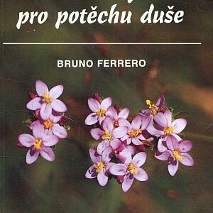 Příběhy pro potěchu duše