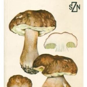 Atlas tržních a jedovatých hub