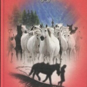 Dívky v sedlech. 2, Láska ke koním