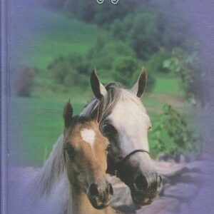 Dívky v sedlech. 3, Hříbě