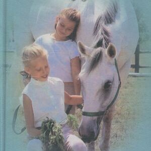 Dívky v sedlech. 6, Ranč