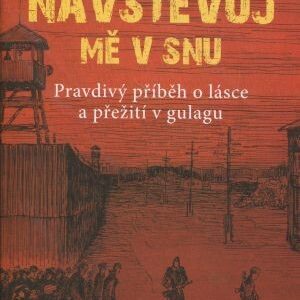 Navštěvuj mě v snu