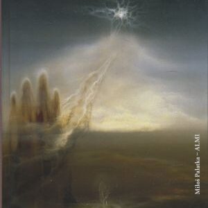 Přemůžeme autizmus? : průvodce pro rodiče, použitelný i pro pediatry, psychiatry a všechny obětavé bytosti, které se snaží pomáhat dětem s autizmem