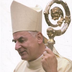 Pastýřské listy 2. Pastýřské listy, homilie a tematické texty z let 2010 až 2014