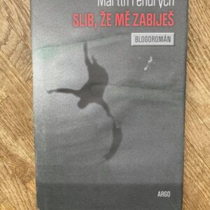 Slib, že mě zabiješ : blogoromán