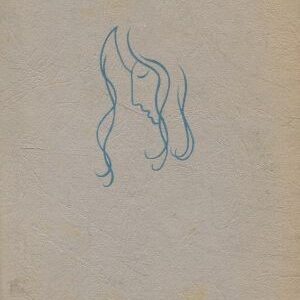 Bouře v květech : Román pro dívky