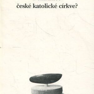 Polarizace české katolické církve?