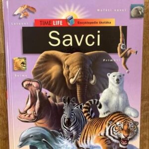 Savci