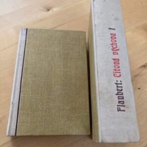 Citová výchova : historie mladého muže I.-II.