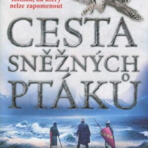 Cesta sněžných ptáků