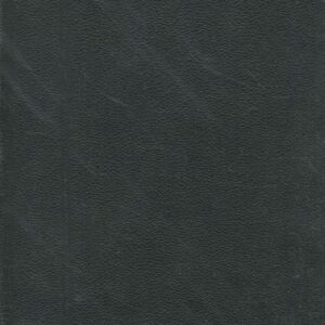 Dějepis umění. Díl 6. Umění nového věku IV