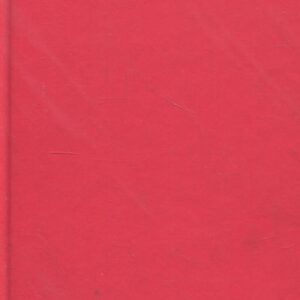 Nataša, pícníci a jiné eseje