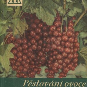 Pěstování ovoce pro konservárenské účely