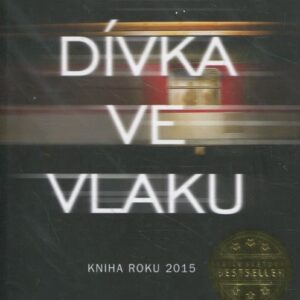 Dívka ve vlaku