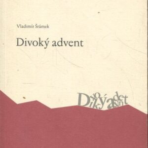 Divoký advent