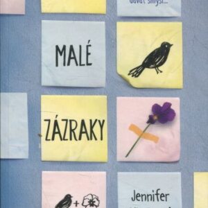 Všechny malé zázraky