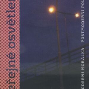 Veřejné osvětlení : postmoderní morálka, postmoderní politika