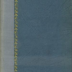 Teď nebo nikdy : román