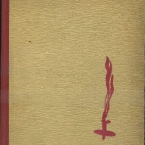 Sestřelen : Z deníku stíhacího letce